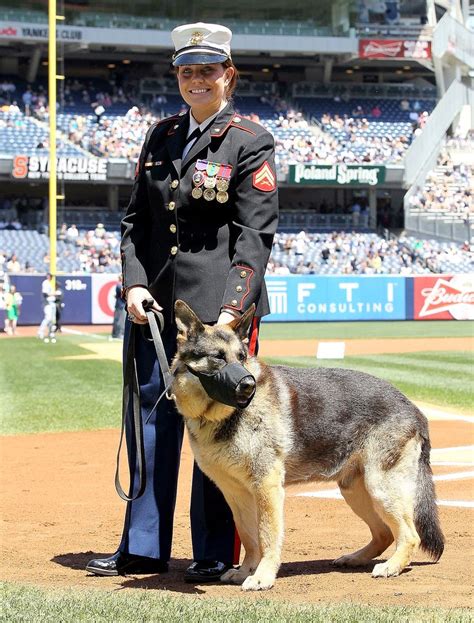 megan leavey husband|megan leavey real life husband.